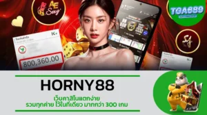 TGA689 HORNY88 เว็บคาสิโนแตกง่าย รวมทุกค่าย ไว้ในที่เดียว มากกว่า 300 เกม